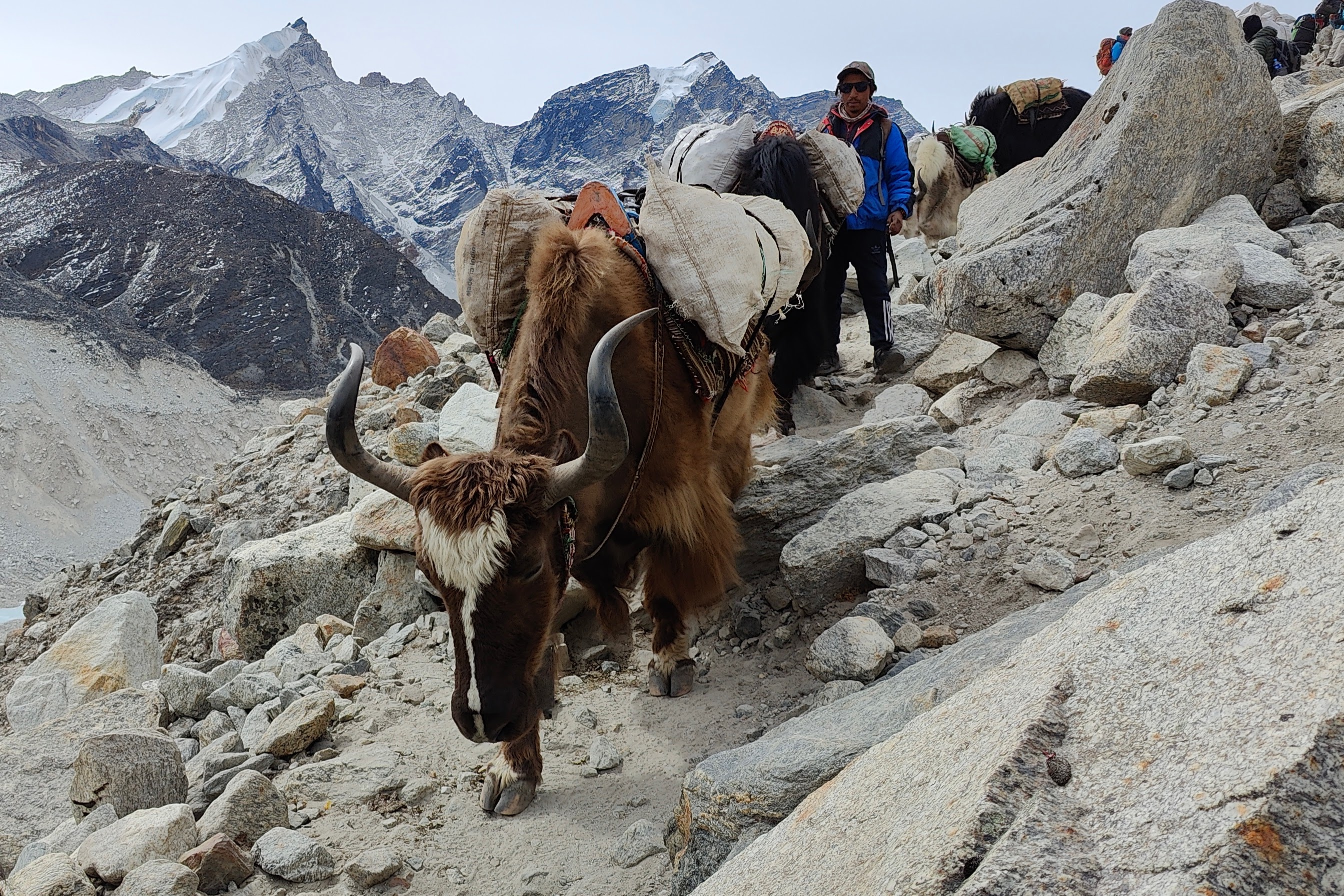 Mountain Trek Gallery Image 1